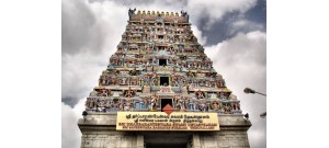 திருநள்ளாறு - நகர விதங்கர் - உன்மதத நடனம்